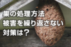 スズメバチ 越冬した後の巣 空になった巣の処理方法