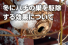 空になった蜂の巣を駆除する方法 駆除の際は1月か2月ごろまで待とう