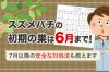 スズメバチの初期の巣は6月まで!7月以降の安全な対処法も教えます
