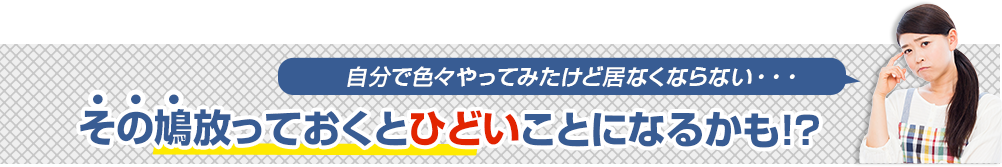 その鳩放っておくとひどいことになるかも!?