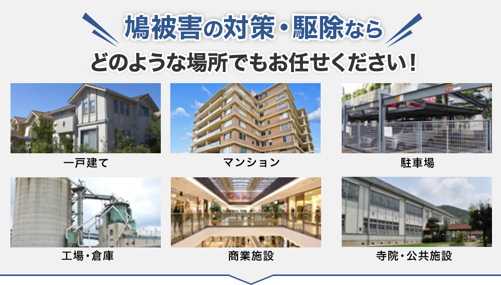 鳩被害の対策・駆除ならどのような場所でもお任せください!
