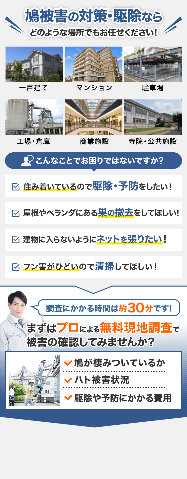 鳩被害の対策・駆除ならどのような場所でもお任せください!