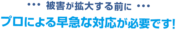 鳩による被害が拡大する前に、プロによる早急な対応が必要です。