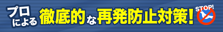 プロによる徹底的な再発防止策!