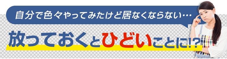 鳩の被害は放っておくとひどいことになる!?