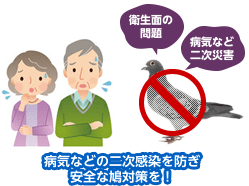 病気などの二次感染を防ぎ安全な鳩対策を！のイメージ