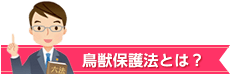 鳥獣保護法とは？