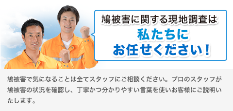 鳩被害で気になることは全てスタッフにご相談ください。