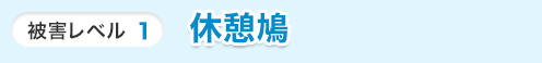 レベル1 休憩鳩