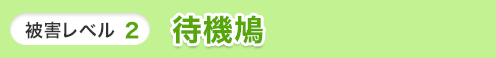 レベル2 待機鳩