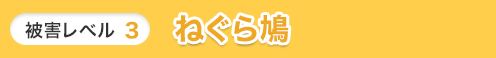 レベル3 ねぐら鳩