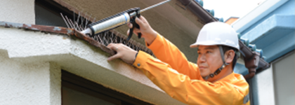 安全、キレイに鳩対策