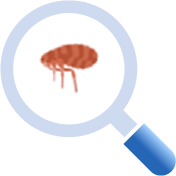 ダニ・シラミ・ノミ