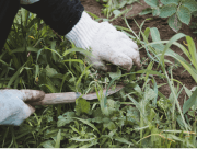 始める場所がポイント