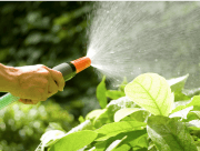 水撒きでやりやすく