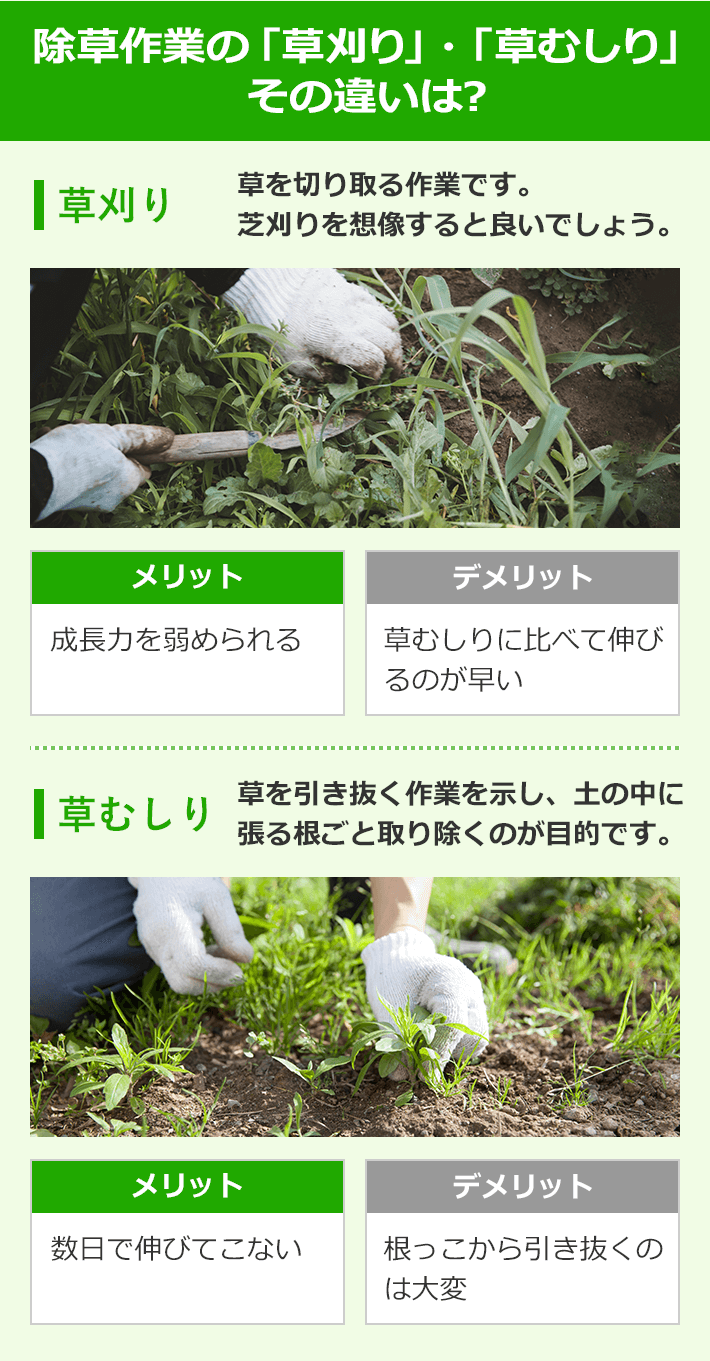 除草作業の「草刈り」「草むしり」その違いは？ 【草刈り】草を切り取る作業です。芝刈りを想像すると良いでしょう。 メリット：成長力を弱められる。 デメリット：草むしりに比べて伸びるのが早い。【草むしり】草を引き抜く作業を示し、土の中に張る根ごと取り除くのが目的です。メリット：数日で伸びてこない。 デメリット：根っこから引き抜くのは大変。 