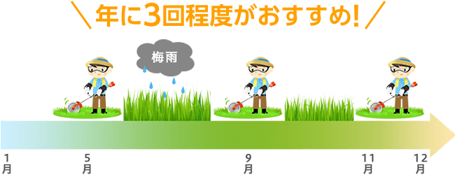 年に3回程度がおすすめ!