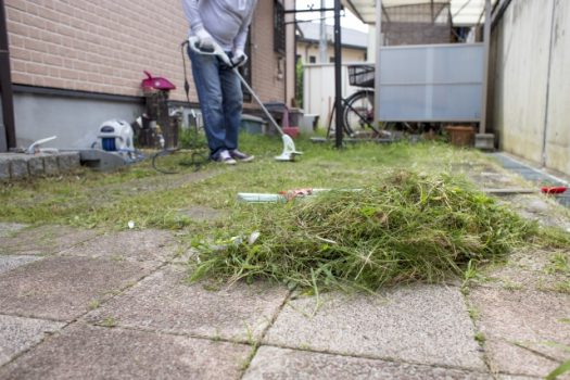 雑草の被害について