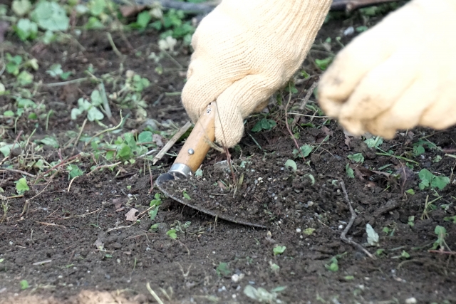 草刈鎌の研ぎ方！切れ味をキープする方法や錆びの落とし方まとめ