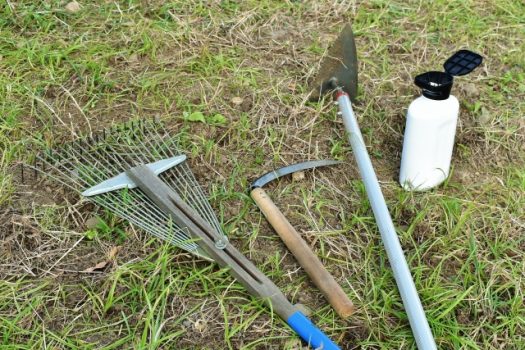 草むしりは道具で簡単に！安全かつ楽に雑草対策するためのグッズ