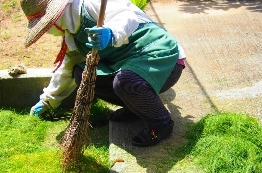 芝生の雑草を駆除する方法