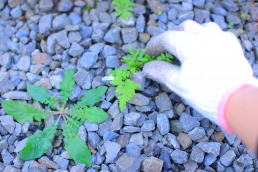 除草剤ってどうやって選べばいいの？