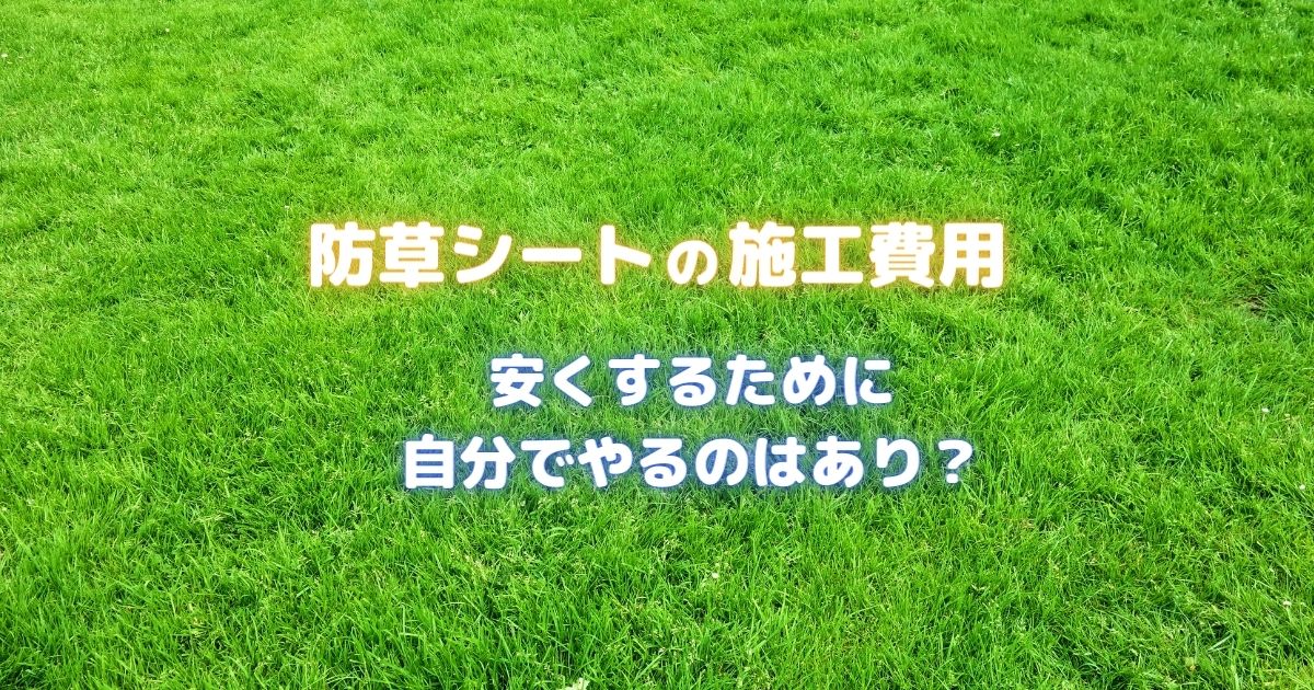 防草シートの施工費用 安くするために自分でやるのはあり？