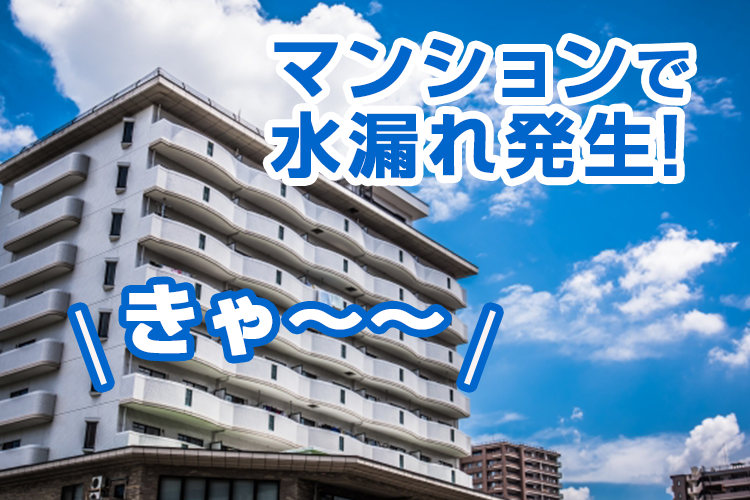 マンションで起きた水漏れ事故の対処法と保証・責任について