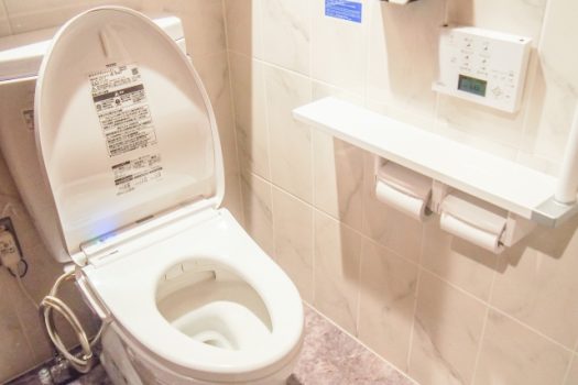 断水時にトイレに行きたくなったら…？種類別の流し方について