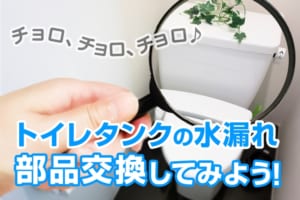 【確認ポイント3】レバー本体が故障していないか