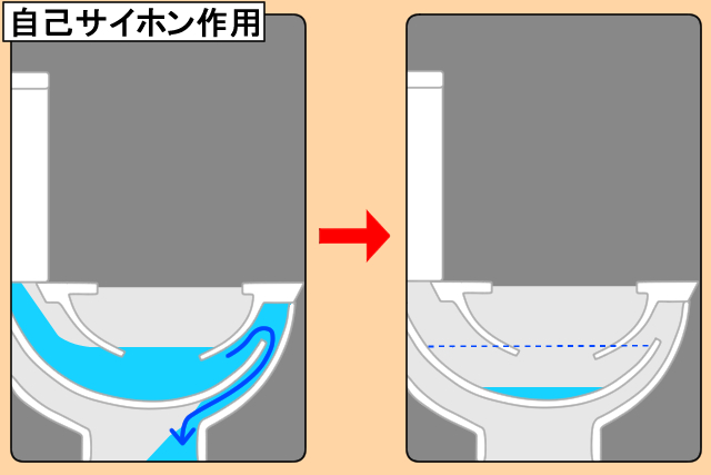 （2）自己サイフォン作用で水がなくなる