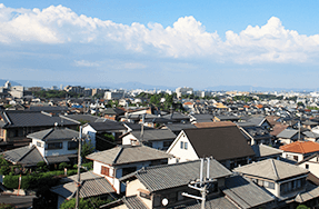 ねずみが好む環境とは