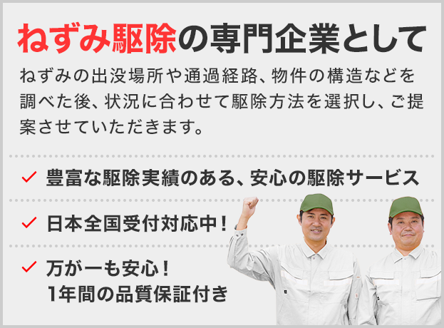 ねずみ駆除の専門企業として