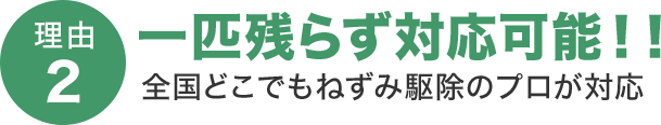 一匹残らず対応可能 全国どこでもねずみ駆除のプロが対応