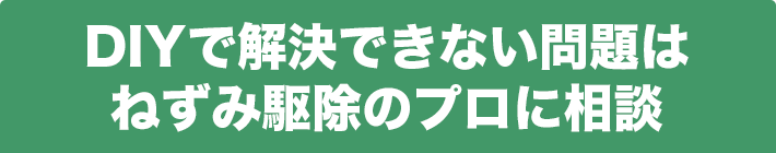 DIYで解決できない問題はねずみ駆除のプロに相談