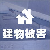 ねずみによる建物被害