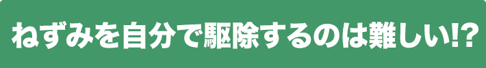 ねずみを自分で駆除するのは難しい!?