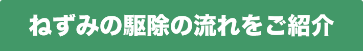 ねずみの駆除の流れをご紹介