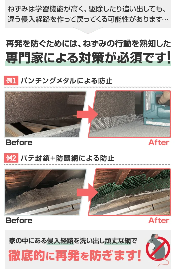 専門家による対策で確実にねずみの再発を防ぎます！