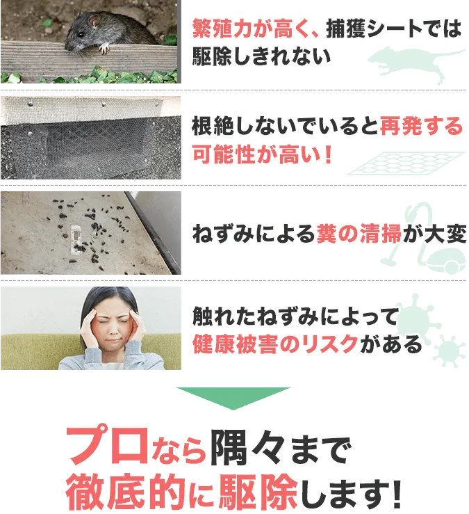 自分で駆除するのが難しい理由