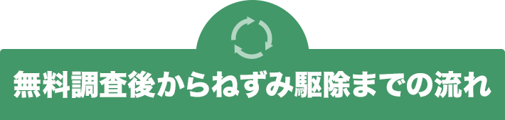 無料調査後からねずみ駆除までの流れ