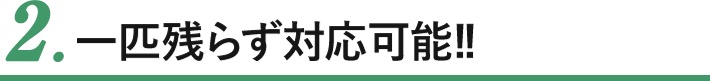 2.一匹残らず対応可能!!