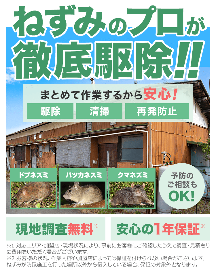 ねずみのプロが徹底駆除！まとめて作業するから安心！「駆除」「清掃」「再発防止」 予防のご相談もOK! 現地調査無料 安心の1年保証