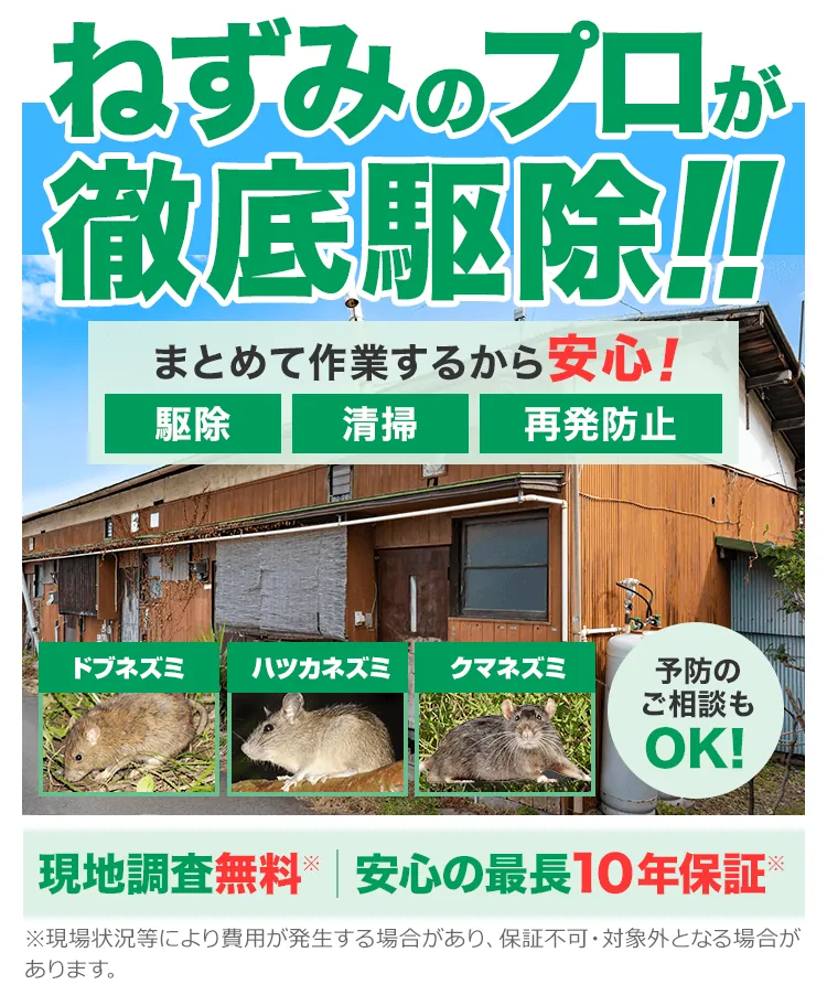ねずみのプロが徹底駆除!まとめて作業するから安心!「駆除」「清掃」「再発防止」 予防のご相談もOK! 現地調査無料 安心の最長10年保証