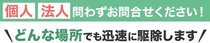 個人法人問わずお任せください!どんな場所でも迅速に駆除します