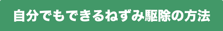 自分でもできるねずみ駆除の方法