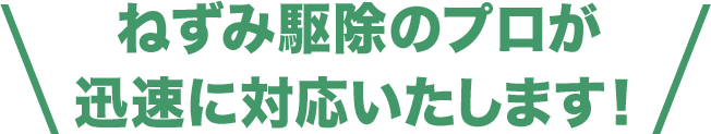 ねずみ駆除のプロが迅速に対応いたします！