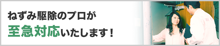 ねずみ駆除のプロが至急対応いたします！