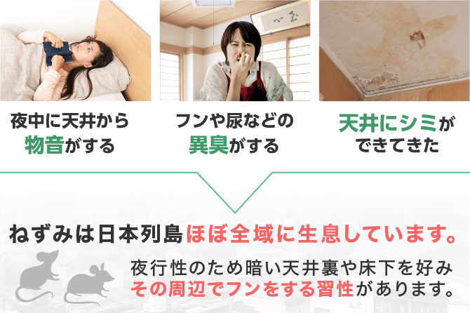 ねずみは日本列島ほぼ全域に生息しています。