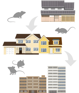 日本住宅の変遷とねずみ